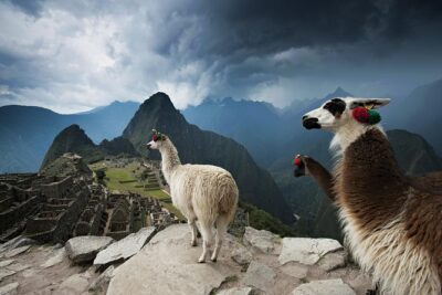Excursion to MachuPicchu from Cusco with lunch | Private Service| - The Morning Machine: Cusco Pickup and the Push Toward the Train