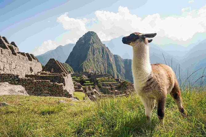 Excursion to MachuPicchu from Cusco with lunch | Private Service| - Getting Back: Return by Consettur Bus, Then Bus to Cusco