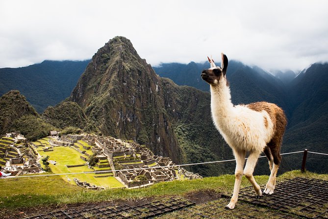 Excursion to MachuPicchu with Train Vistadome Full Day - Vistadome trains and scenic views: nice upgrade, but not everyone values it the same