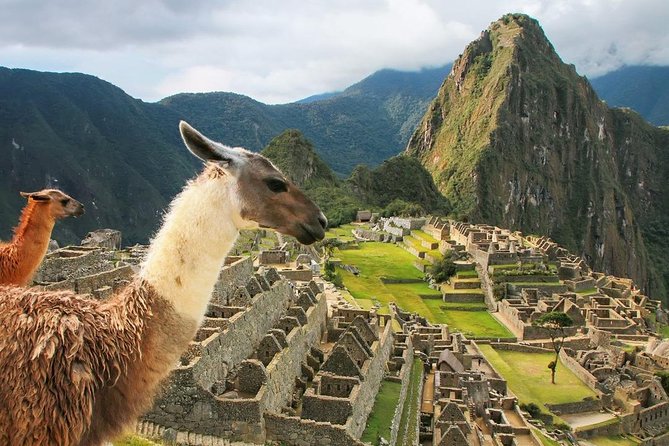 Excursion to MachuPicchu with Train Vistadome Full Day - Value check: what you’re paying for at about $403.75 per person
