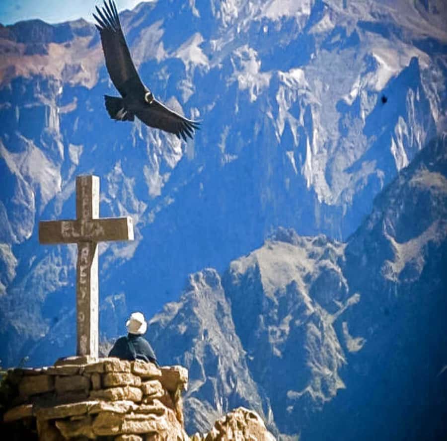 From Arequipa: 2-Day Colca Canyon Tour with Transfer to Puno - Entrance Fees and Your Budget: The Part People Forget