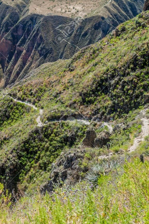 From Arequipa: 2-Day Colca Canyon Trekking Tour - Price reality: the $30 reservation vs the cash top-up for meals and entries