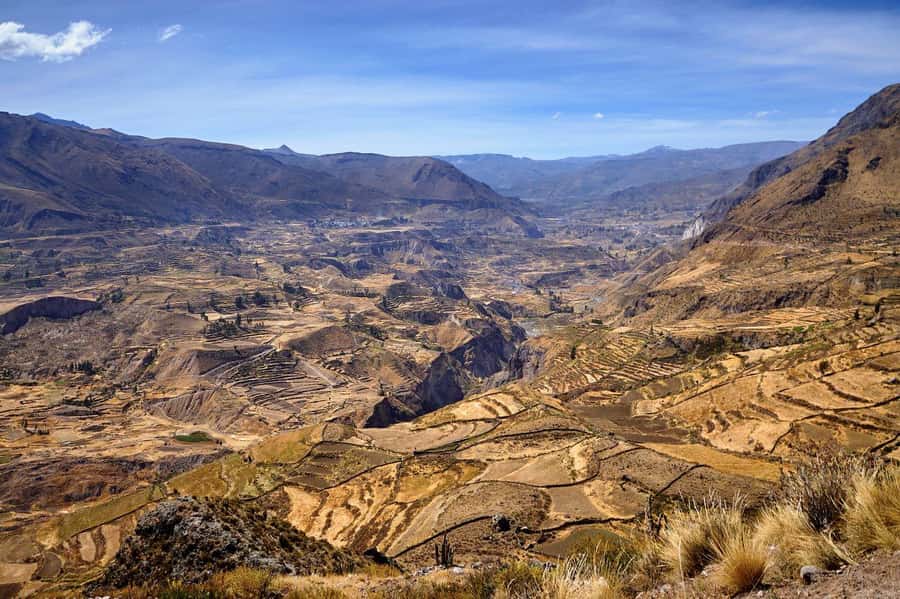 From Arequipa: Colca Canyon and Condor Watching Day Trip - Key points to know before you go