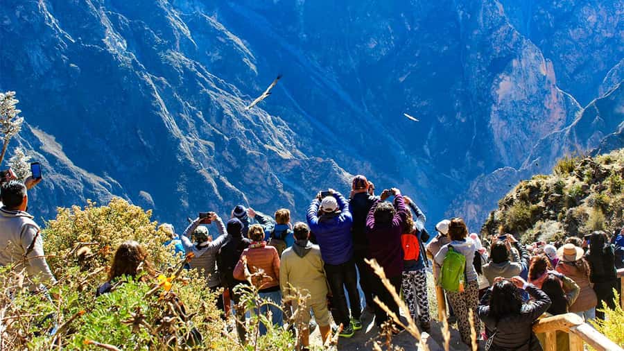 From Arequipa: Colca Canyon Day Trip with Transfer to Puno - From Arequipa at 3am: the rhythm of this Colca-to-Puno day