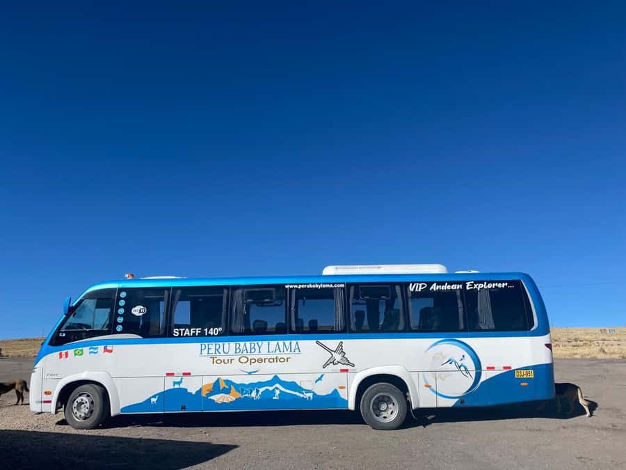 From Arequipa: Colca Canyon Day Trip with Transfer to Puno - Alto Lagunillas: markets, tea/coffee, and a final scenic push