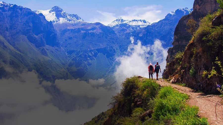 From Arequipa: Colca Canyon Day Trip with Transfer to Puno - Morning drive + breakfast: how you get altitude and light