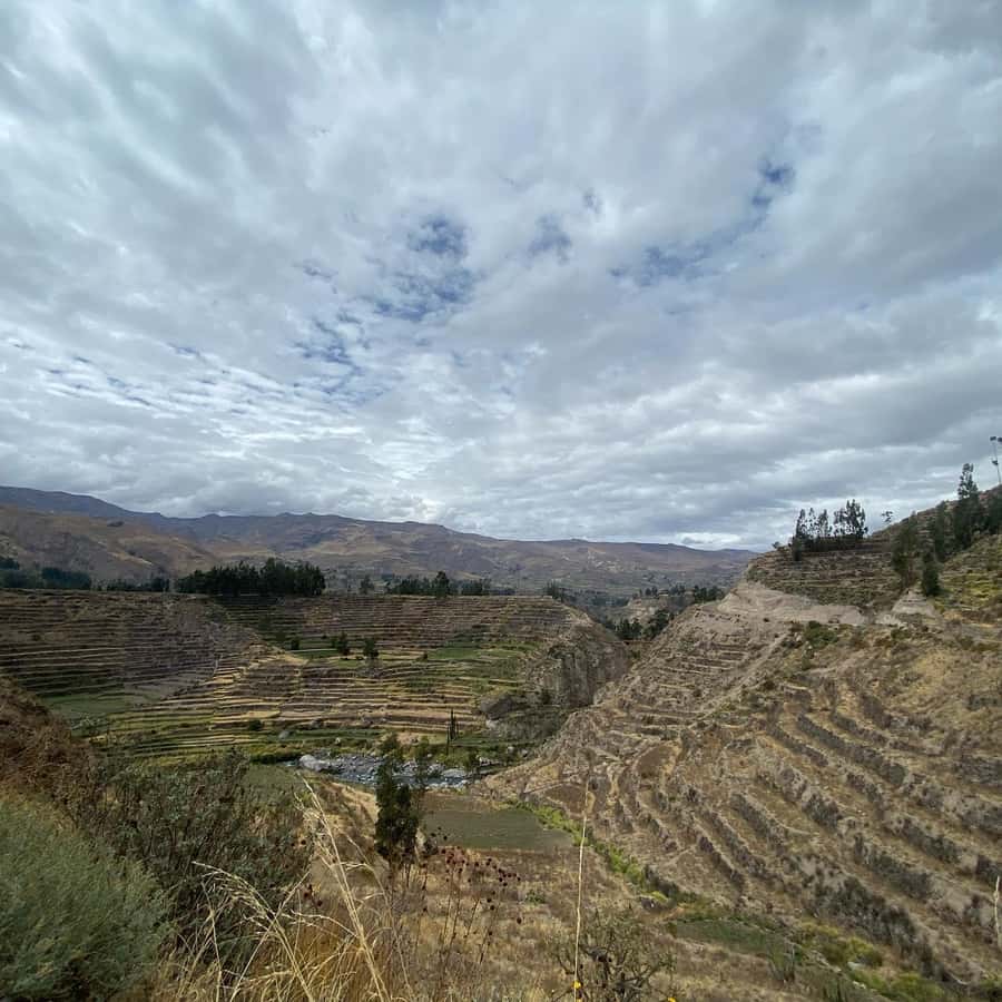 From Arequipa: Colca Canyon & La Calera Thermal Waters - Price and what you’ll actually pay: where the real value is
