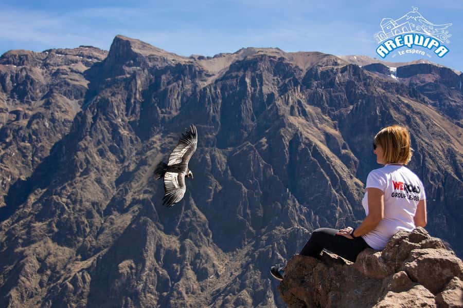 From Arequipa: Colca Valley & Thermal Baths Small-Group Trip - Mirador de los Volcanes: The High-Altitude Viewpoint at ~4,910 m