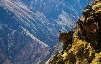 From Arequipa: Colca Valley & Thermal Baths Small-Group Trip - Getting There: Pickup Times, Meeting Points, and Why the Start Is So Early
