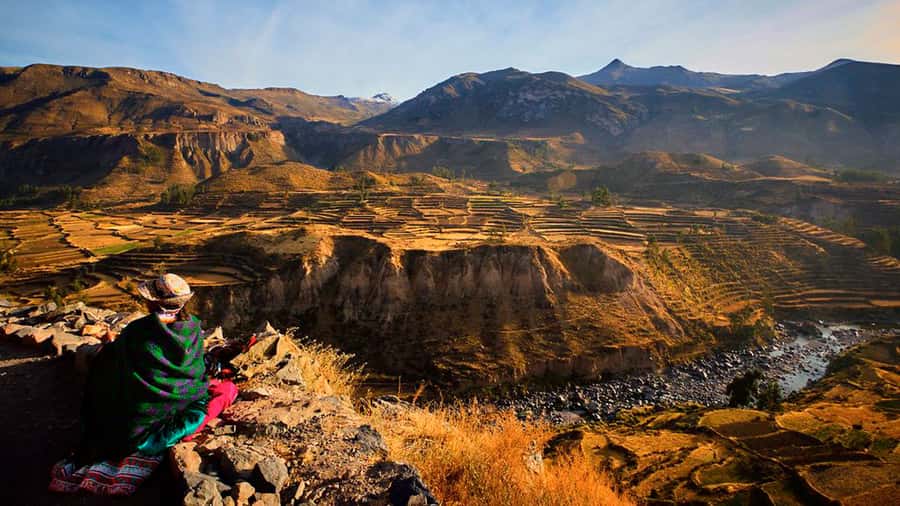 From Arequipa: Full Day Colca Canyon Tour - Key points at a glance