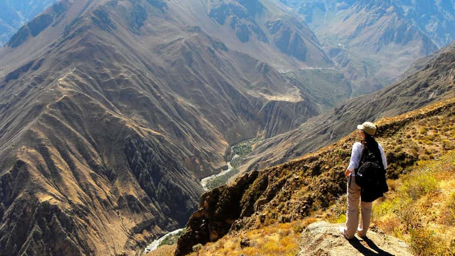From Arequipa: Full Day Colca Canyon Tour - Cruz del Cóndor at 4,700m: the condor moment you came for