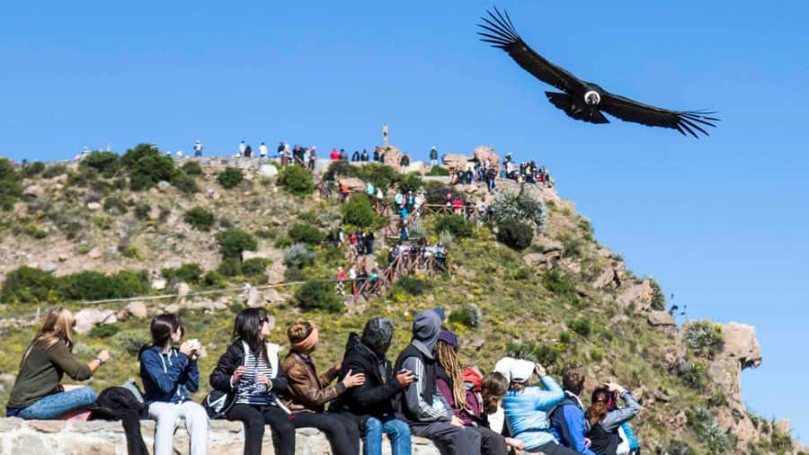 From Arequipa: Full Day Colca Canyon Tour - The road to Chivay and the altitude rhythm: expect a long, high day
