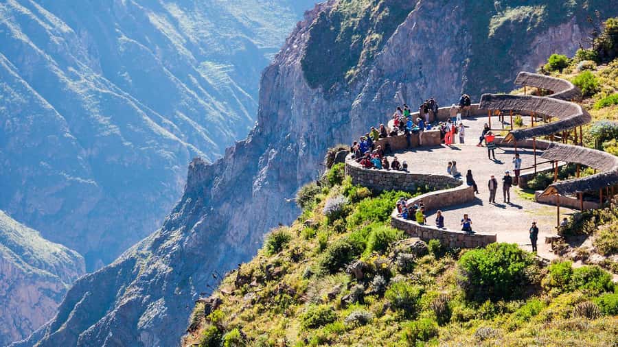 From Arequipa: Fullday Tour Colca Canyon + Transfer To Puno - Key highlights worth your attention