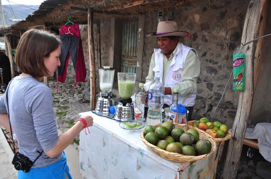 From Arequipa: Fullday Tour Colca Canyon + Transfer To Puno - A one-day Colca Canyon run that ends in Puno