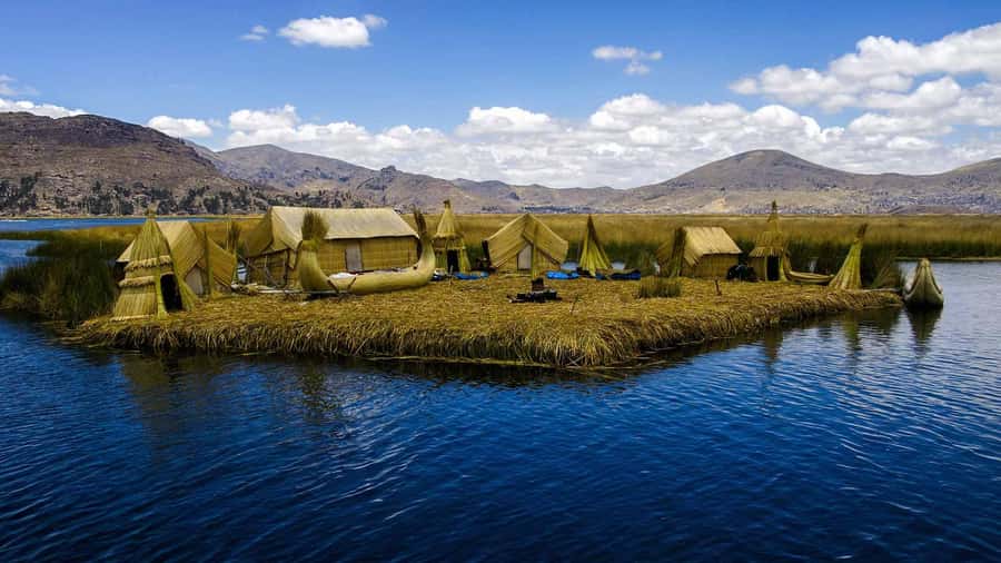 From Arequipa: One Day Trip to Colca Canyon Ending in Puno - The Puno transfer: volcano viewpoint, wetlands, vicuñas, and lagoons