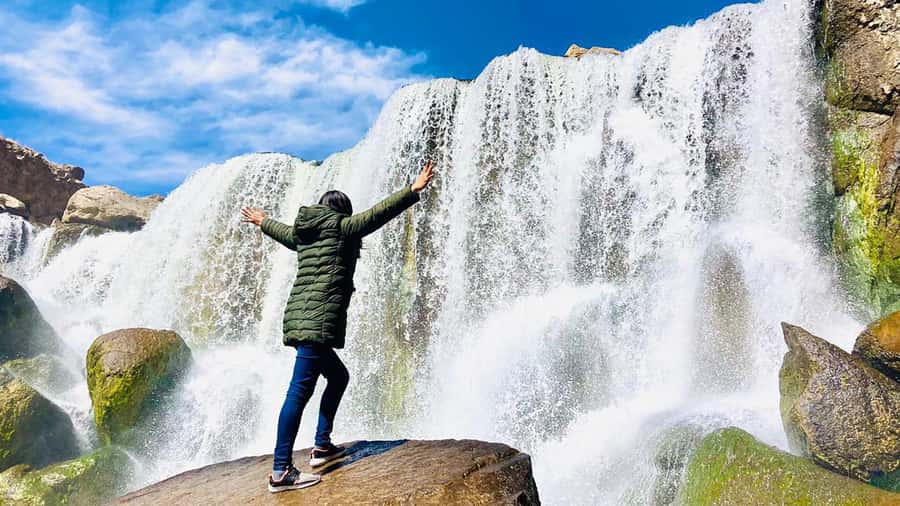 From Arequipa: Pillones Waterfall and Stone Forest Day Trip - Salinas and Aguada Blanca National Reserve: vicuñas spotting and big sky pauses