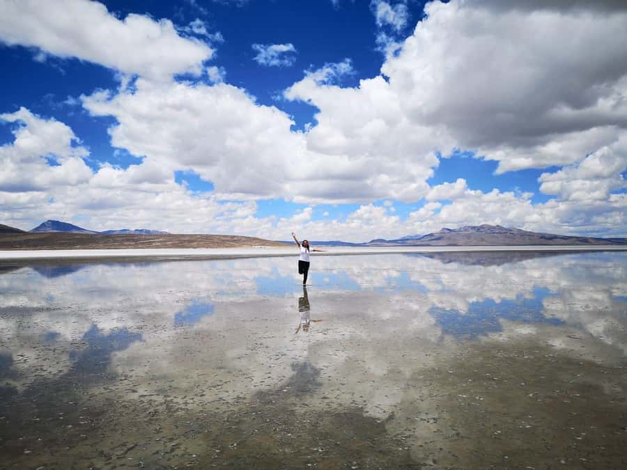 From Arequipa: Salinas Lagoon Full-Day Trip with Hot Springs - Price and Value: What $49 Really Buys You