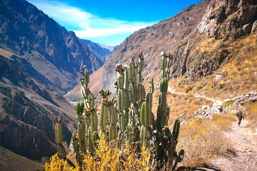 From Arequipa Trek : 2-Days of Hiking in the Colca Canyon - Key things to know before you go