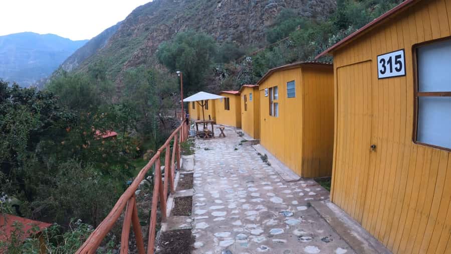 From Arequipa Trek : 2-Days of Hiking in the Colca Canyon - Who This Trek Suits Best (and Who Should Think Twice)