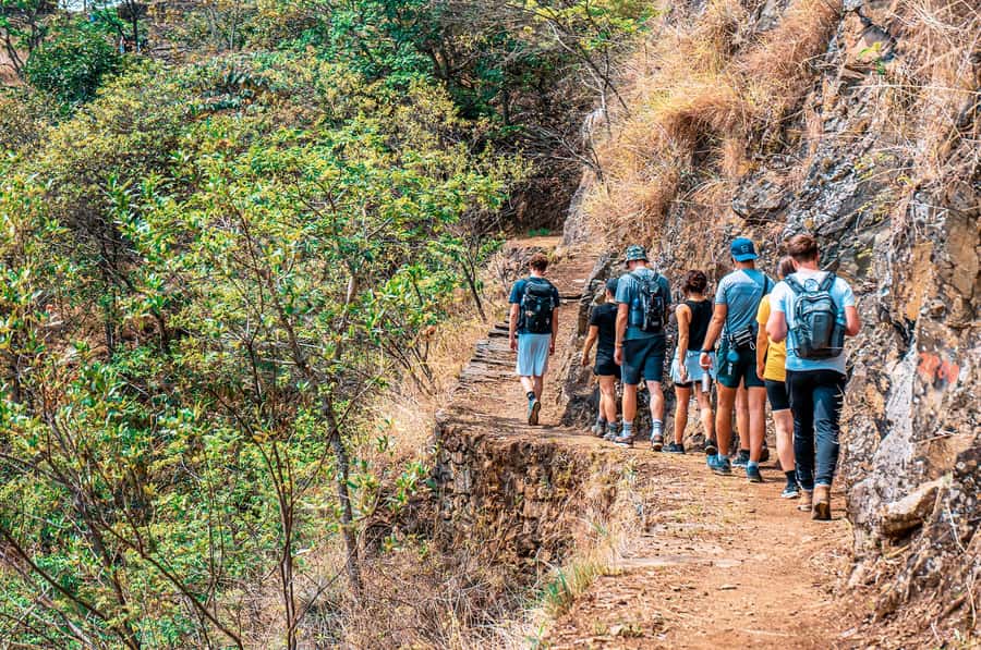 From Cusco: 4-Day Inca Jungle Adventure to Machu Picchu - Day 3: Zipline option, Hydroelectric checkpoint, then the track-walk into Aguas Calientes