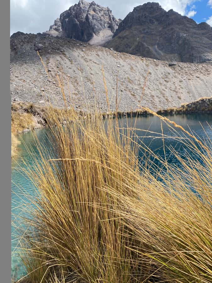 From Cusco: 7 lakes with hot springs in Ausangate and meals - Price and logistics: what $38 really buys you