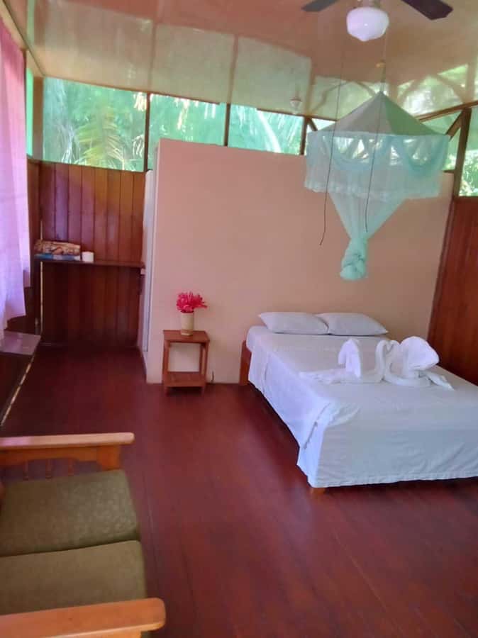 From Cusco: Amazon jungle for two days with sleeper bus and private lodge - Tambopata National Reserve on foot, then Sandoval Lake by canoe