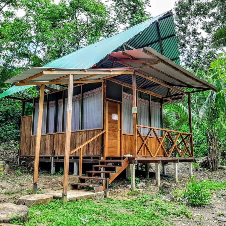 From Cusco: Amazon jungle for two days with sleeper bus and private lodge - What to pack and how to stay comfortable in the jungle