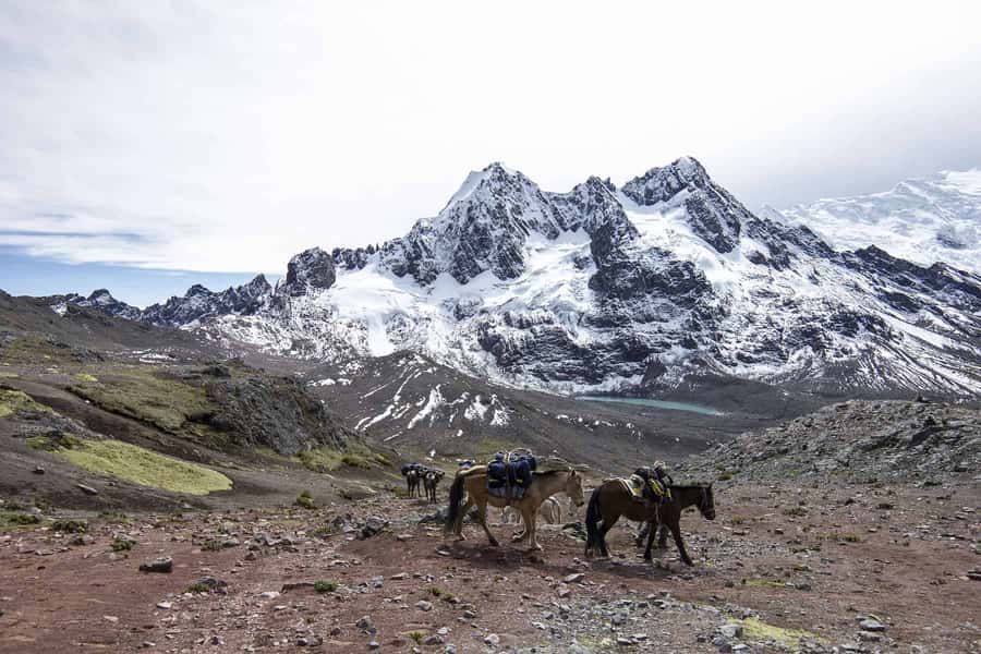 From Cusco: Ausangate Route - 7 Lagoons Tour + Meals - Key Takeaways Before You Go