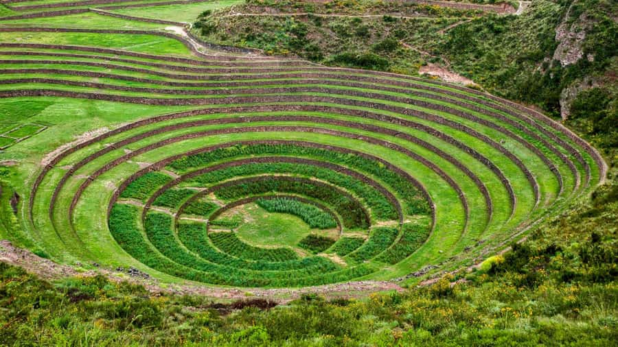 From Cusco: Chinchero Weavers, Moray, Maras Salt Mines Tour - Maras Salt Mines: thousands of ponds in one hillside view