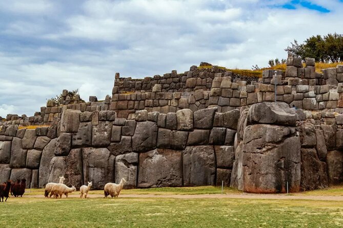 From Cusco City Tour Four Ruins Half Day Tour - Tambomachay: The Water Temple Moment (Without the Big Climb)