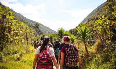 From Cusco: Full-Day Round-Trip Train Tour to Machu Picchu - Pick Your Departure: Early, Morning, or Late-Morning for Light and Crowds