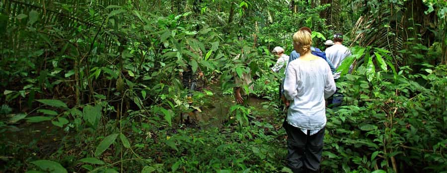 From Cusco: Manu National Park 3 Day Tour - Key moments you should care about