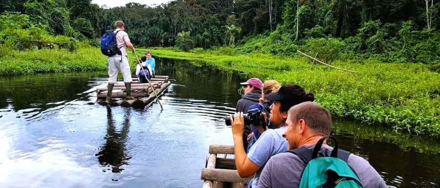 From Cusco: Manu National Park Tour & Accommodation 3 Days - Day 2: Boat Up the Alto Madre de Dios and Oxbow Lake Machuhuasi