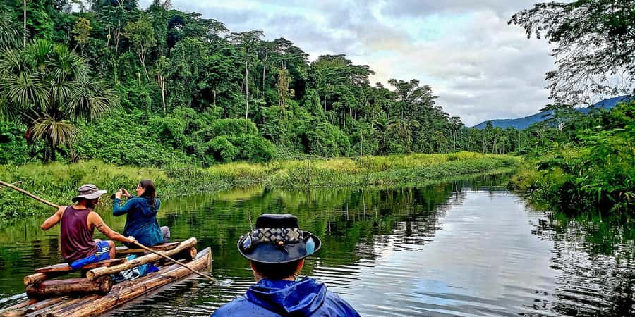 From Cusco: Manu National Park Tour & Accommodation 3 Days - Wildlife-Spotting: How This Tour Actually Increases Your Odds