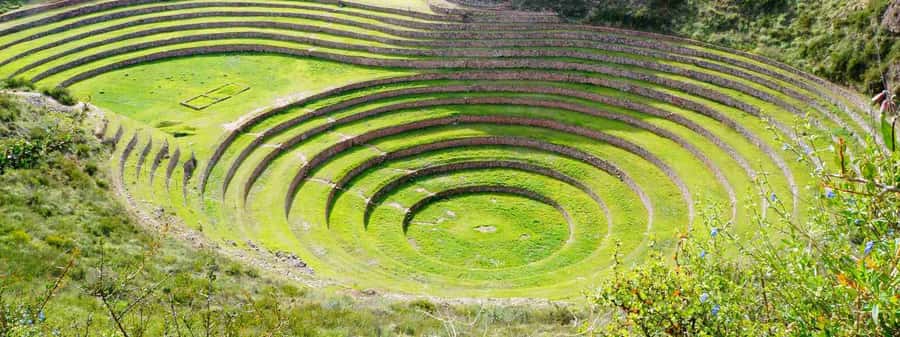 From Cusco: Maras and Moray and Ollantaytambo Tour - A 6-hour Sacred Valley sampler with real variety