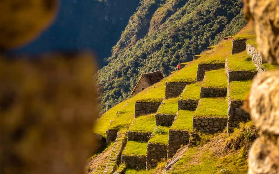 From Cusco: One-Day Round Trip to Machu Picchu by Train - Trains, small group limits, and why logistics feel important