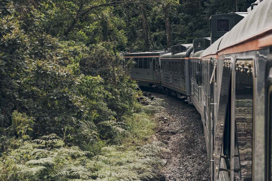 From Cusco: One-Day Tour to Machu Picchu - Return to Cusco by train: keep the momentum, avoid the chaos