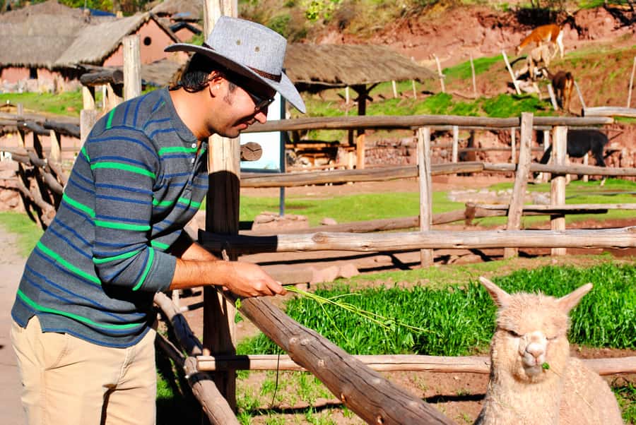 From Cusco: Private Pisac Ruins and Alpaca Farm Day Trip - Manos de la Comunidad stop: a quick culture-and-crafts moment