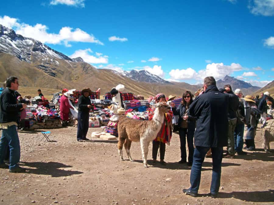 From Cusco: Puno and Uros Islands 2-Day Trip - Taquile Island Tour: Views, Local Lunch, and a Slow Walk Back