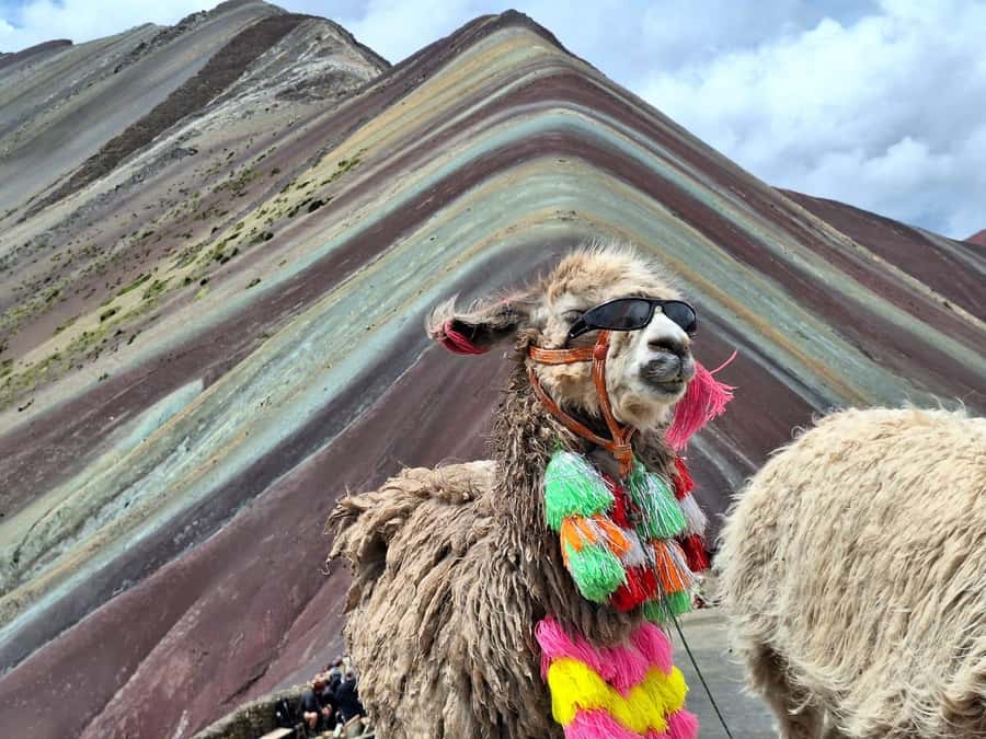 From cusco: Rainbow Mountain ATV Tour with meals - What to Bring for Cold Mornings and Windy High Elevations