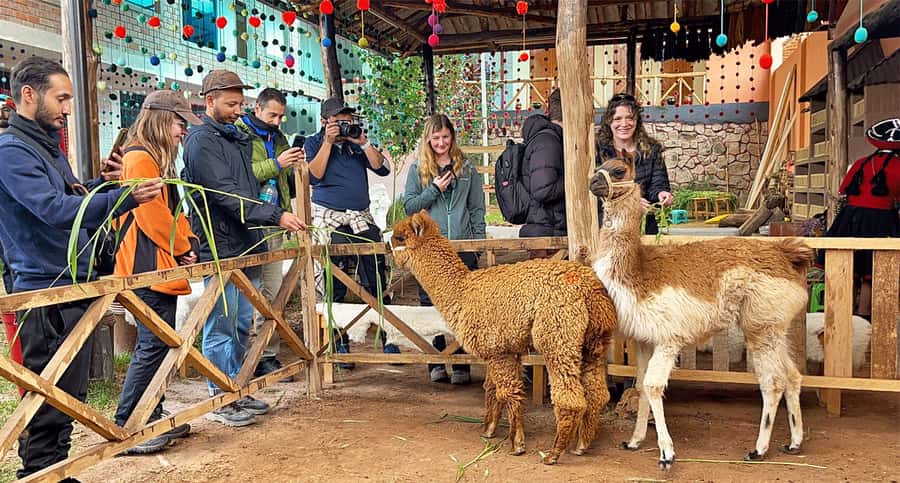 From Cusco: Sacred Valley & Maras Salt Mines Tour with Lunch - Key highlights worth planning around