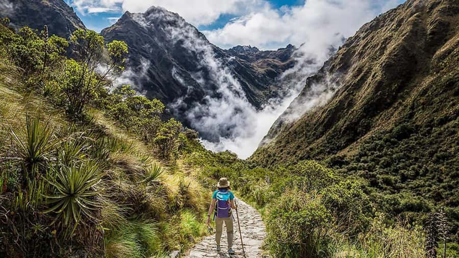 From Cusco: Salkantay trek 5 days/4 nights meals included - Day 2: Climb to Salkantay Pass, Then Down to Chaullay