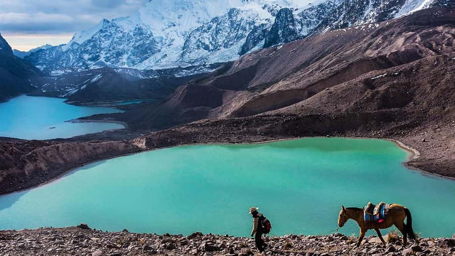 From Cusco: Salkantay trek 5 days/4 nights meals included - Fitness Reality Check: Salkantay Pass at 4,650 M