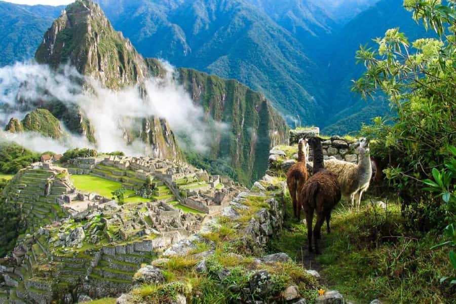From Cusco:MachuPicchu Excursion 1 day plus Ticket and Train - Key highlights and what they really mean