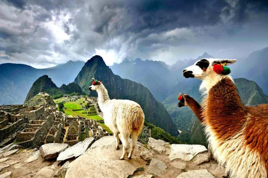 From Cusco:MachuPicchu Excursion 1 day plus Ticket and Train - A 14-hour circuit from Cusco to Machu Picchu