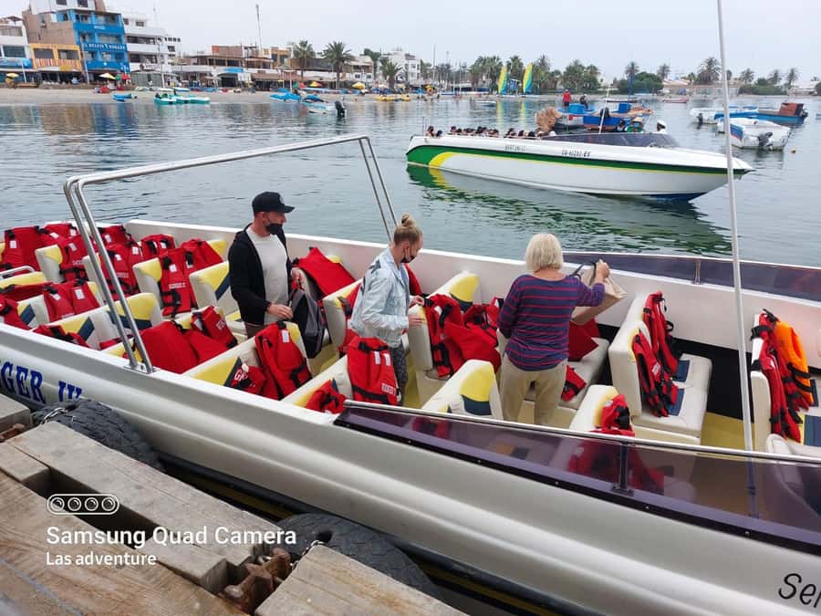 From Huacachina: Ballestas and Paracas Reserve - GROUP TOUR - Is this tour worth booking? My decision rule for you