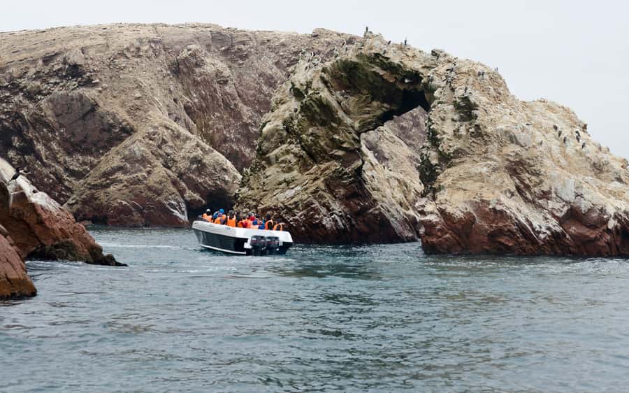 From Huacachina: Ballestas and Paracas Reserve - GROUP TOUR - Ballestas Islands by speedboat: what you’ll actually see