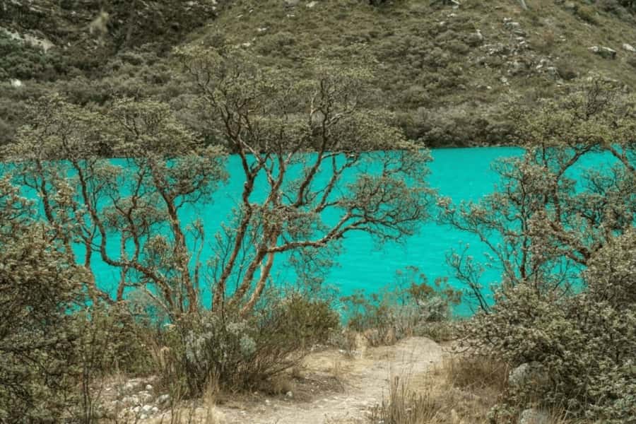 From Huaraz: Tour to Llanganuco Lakes (Chinancocha Lake) - Price and Logistics: Where the $33 Value Adds Up