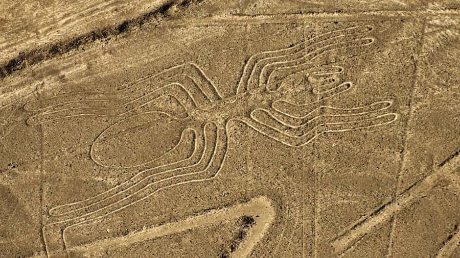 From Ica: Flight over the Nazca Lines - Inside the Small Plane: Seating and What That Means