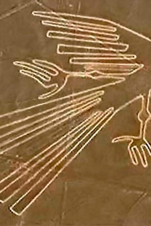 From Ica: Flight over the Nazca Lines - Why the Flight Certificate Feels Worth It